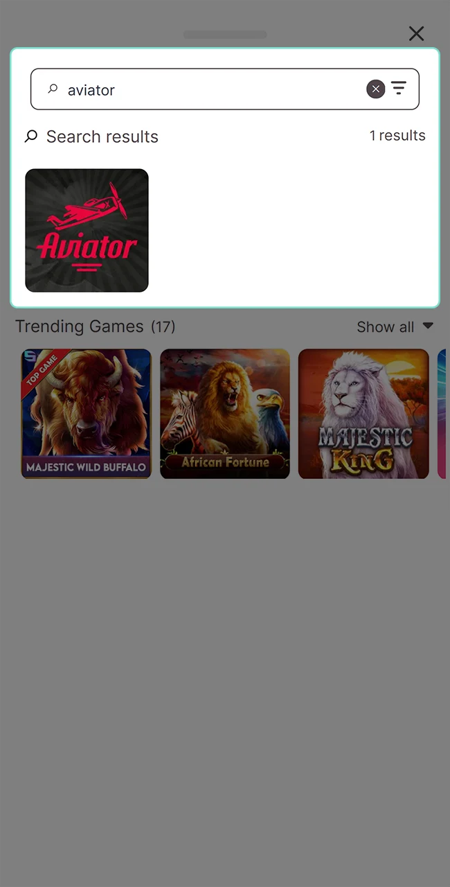 Find the Aviator game on the site for unforgettable fun.